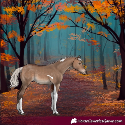 Horse Color:Silver Brown Dun Tobiano Rabicano 