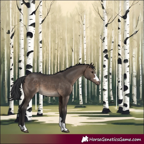 Horse Color:Brown Dun 