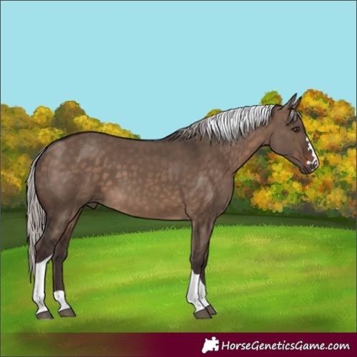 Horse Color:Silver Brown Dun Tobiano 