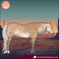 Horse Color:Silver Buckskin Dun Rabicano