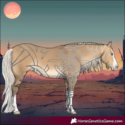 Horse Color:Silver Buckskin Dun Splash 
