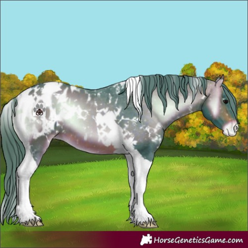 Horse Color:Watercolor White Spotted Brown Onyx Tobiano Blanket 