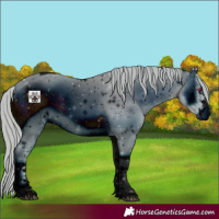 Horse Color:ERROR: UNKNOWN ANOMALY