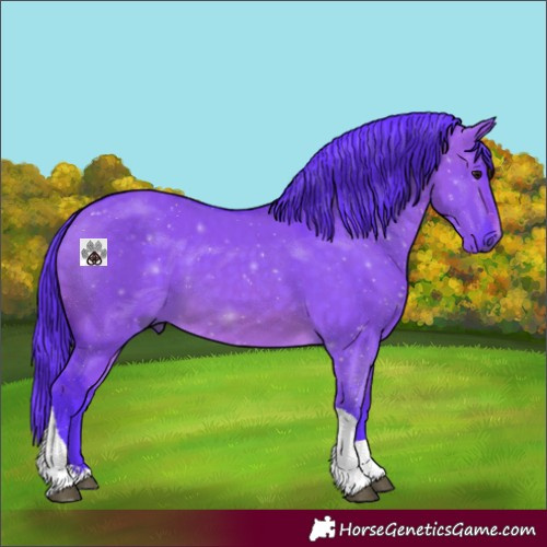 Horse Color:Watercolor Brown Dun Tobiano 
