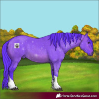 Horse Color:Watercolor Brown Dun Tobiano 