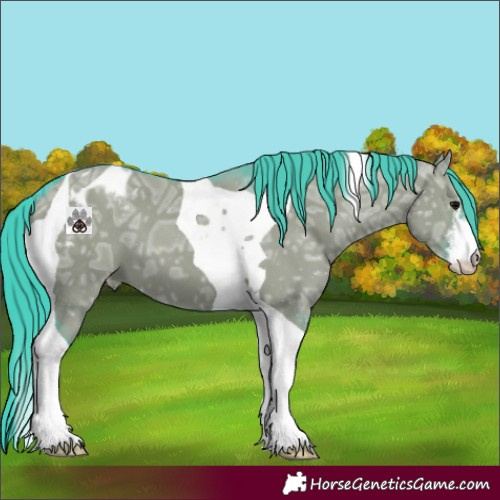 Horse Color:Watercolor White Spotted Grullo Ice Tobiano Blanket 