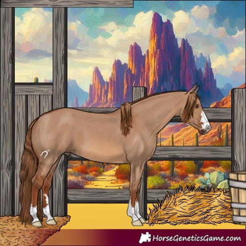 Horse Color:Red Dun 