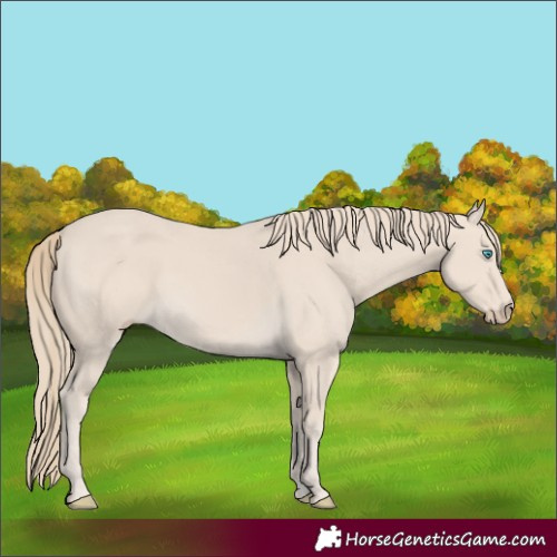 Horse Color:Smoky Creme 
