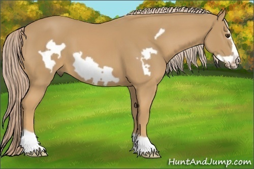Horse Color:Palomino Frame