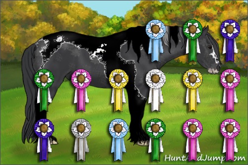 Horse Color:Black Sabino Tobiano 