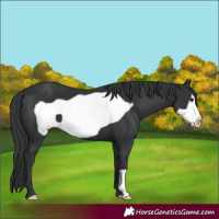 Horse Color:Black Frame 