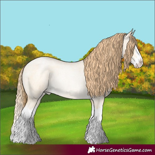 Horse Color:Buckskin Roan Pearl Dun Splash Rabicano 