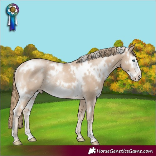 Horse Color:White Spotted Smoky Creme Frame Rabicano 