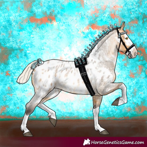 Horse Color:White Spotted Silver Buckskin Roan Splash Appaloosa 