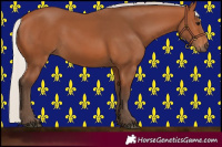 Horse Color:Silver Bay 