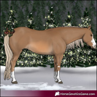 Horse Color:Chocolate Palomino 