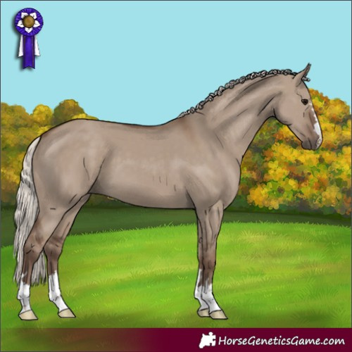 Horse Color:Silver Grullo 