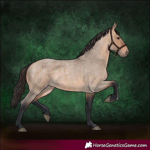 Horse Color:Bay Roan Dun 