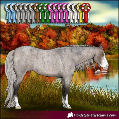 Horse Color:Silver Brown Roan Dun Sabino 