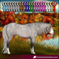 Horse Color:Silver Brown Roan Dun Sabino 