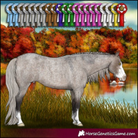 Horse Color:Silver Brown Roan Dun Sabino