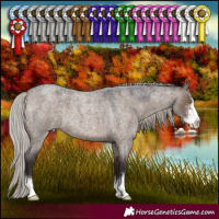 Horse Color:Silver Brown Roan Dun Sabino