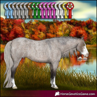 Horse Color:Silver Brown Roan Dun Sabino