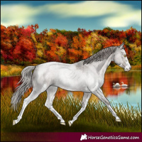 Horse Color:Silver Grullo Roan Sabino 