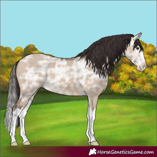 Horse Color:Bay Ice Dun Splash 