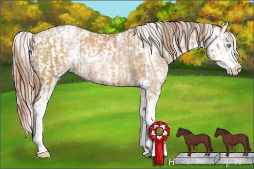 Horse Color:Bay Pearl Sabino and Chocolate Buckskin Pearl Sabino