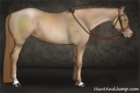 Horse Color:Liver Chestnut Pearl Sabino 