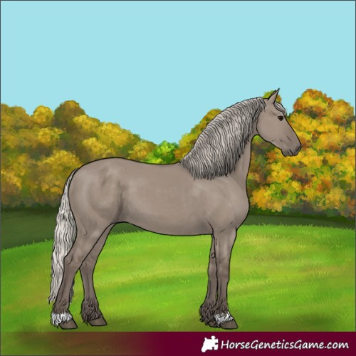 Horse Color:Silver Grullo 