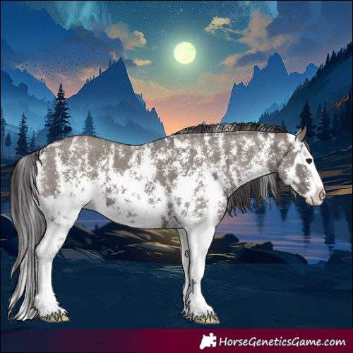 Horse Color:Smoky Grullo Sabino and Smoky Grullo Sabino Splash