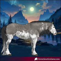 Horse Color:Grullo Sabino  and Grullo Sabino Splash 