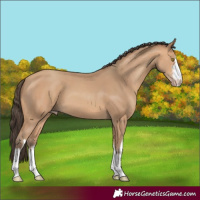 Horse Color:White Spotted Amber Champagne 