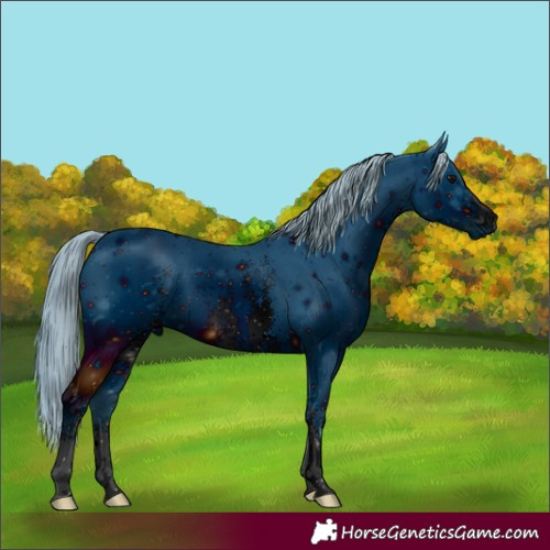 Horse Color:ERROR: UNKNOWN ANOMALY