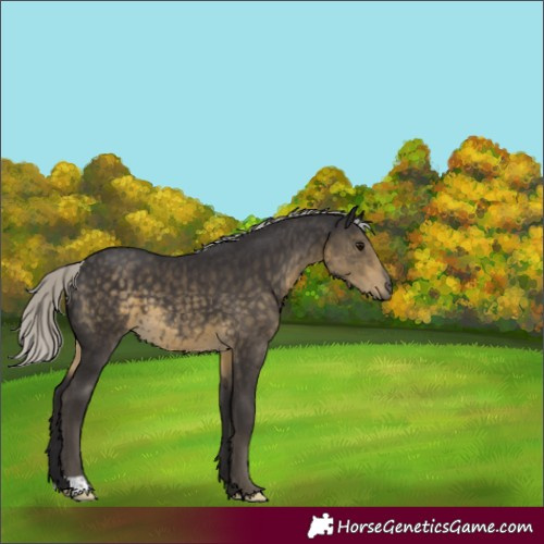 Horse Color:Silver Smoky Black Mushroom 