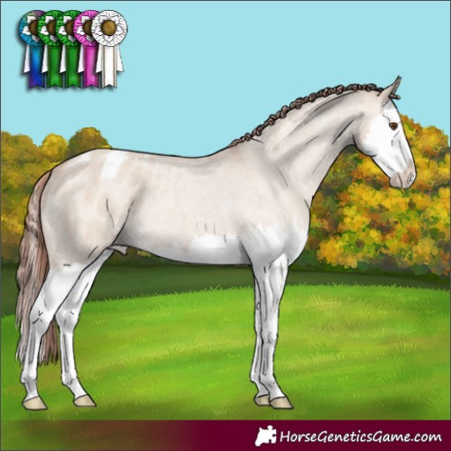 Horse Color:Chocolate Classic Champagne Roan Dun Splash Varnish 