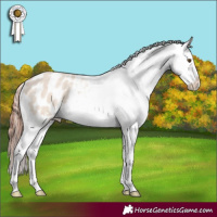 Horse Color:Chocolate Classic Champagne Roan Dun Splash Appaloosa 
