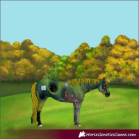 Horse Color:ERROR: UNKNOWN ANOMALY