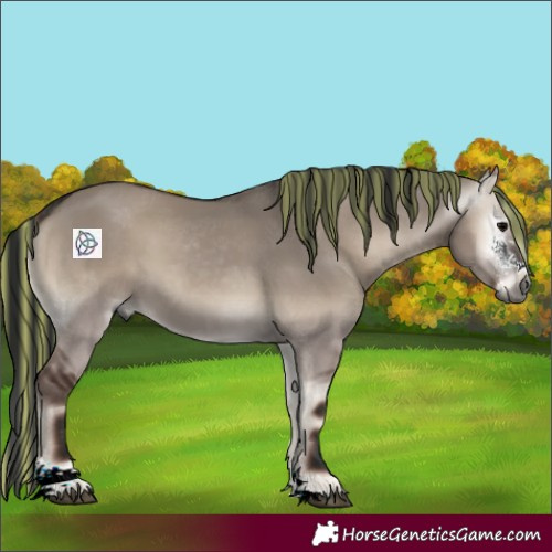 Horse Color:Gray Painted Grullo Onyx Sabino 