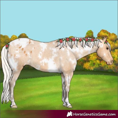 Horse Color:White Spotted Silver Buckskin Varnish 