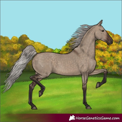 Horse Color:Silver Brown Dun 