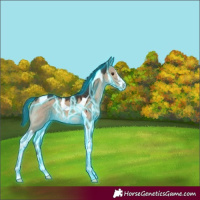 Horse Color:Thunderstruck Liver Red Dun Tobiano