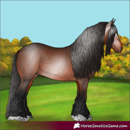 Horse Color:Gray Bay 