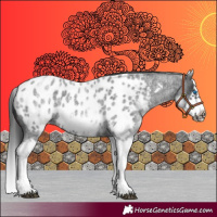 Horse Color:White Spotted Blue Roan Splash Frame Appaloosa 
