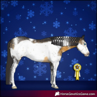 Horse Color:Buckskin Sabino Frame 