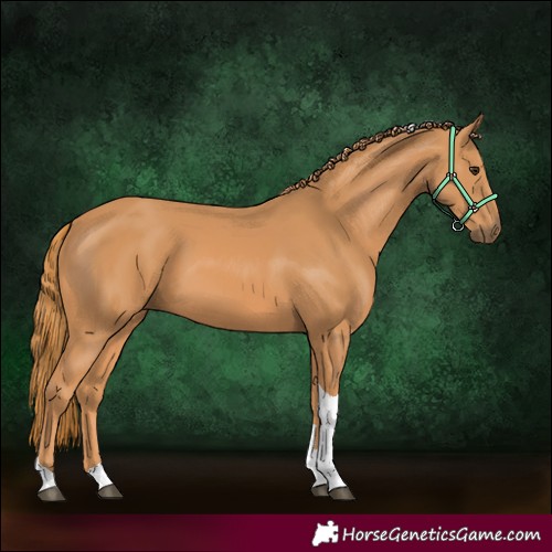 Horse Color:Chestnut Tobiano Rabicano 