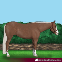 Horse Color:Silver Black 