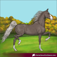 Horse Color:Silver Black 